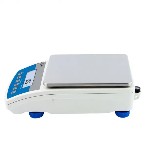 Wlc 1/A2 Precision Balance